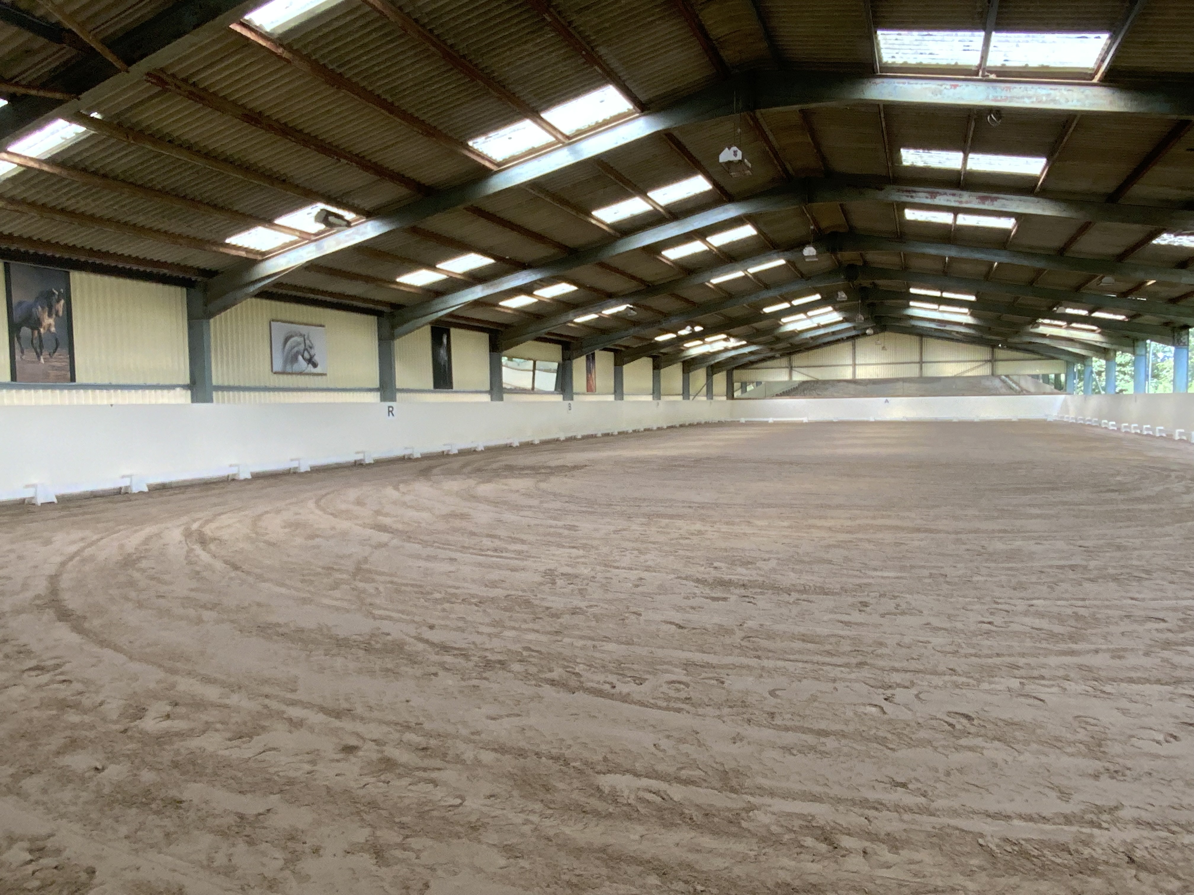 The Arena
